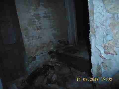 2447 Clements (23)_m.jpg